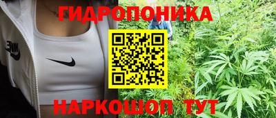 spice Кунгур